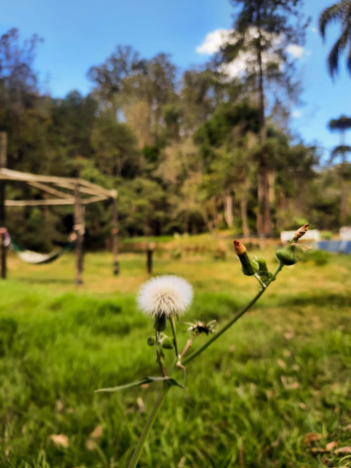 Pousada Pedra Grande Atibaia Luaran gambar
